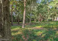 2905 5 Island Drive SE, Bolivia, NC 28422 — waterfront lot in River Run Plantation, Bolivia, NC, photo 9 of 46