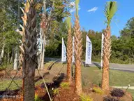 3414 Wood Stork Drive SW Litchfield Il Lot 30, Ocean Isle Beach, NC 28469 — 3-bedroom home in Wood Stork Landing, Ocean Isle Beach, NC, photo 9 of 14: bIaBBEpQ