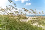 00 Old Lennon Road SE, Bolivia, NC 28422 — lot, Bolivia, NC, photo 20 of 27