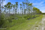 10 Acres Address Tbd, Boiling Spring Lakes, NC 28461 — lot, Boiling Spring Lakes, NC, photo 14 of 16