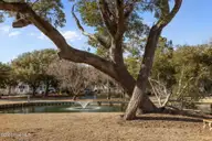 214 Sandfiddler E, Emerald Isle, NC 28594 — 3-bedroom waterfront home in Lands End, Emerald Isle, NC, photo 13 of 57: 41-web-or-mls-1S3A1718
