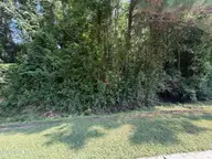 260 Sylvester Street, Richlands, NC 28574 — lot, Richlands, NC, photo 6 of 8