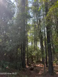 2853 Robin Drive SW, Shallotte, NC 28470 — lot in Shell Point, Shallotte, NC, photo 5 of 10