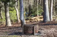 167 Hydrangea Lane, Hampstead, NC 28443 — 4-bedroom waterfront home in Eagle's Watch, Hampstead, NC, photo 8 of 74: 9356B436-3DCA-4F2B-A57A-456275923545