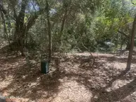 31 701 Fort Holmes Trail, Bald Head Island, NC 28461 — lot in BHI (Bald Head Island), Bald Head Island, NC, photo 4 of 4: IMG_7434