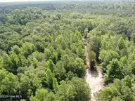 Tbd Oliver Carlton Road, Warsaw, NC 28398 — lot, Warsaw, NC, photo 9 of 15