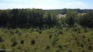0 Ward Road, Whitakers, NC 27891 — lot, Whitakers, NC, photo 10 of 27: DJI_0506