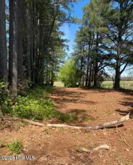 4803 Andrew Jackson Highway SW, Chadbourn, NC 28431 — 3-bedroom home, Chadbourn, NC, photo 15 of 72