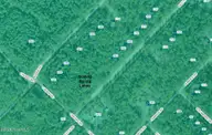 .73 Acres Beech Road, Boiling Spring Lakes, NC 28461 — lot, Boiling Spring Lakes, NC, photo 4 of 4: Green Woodpecker zone