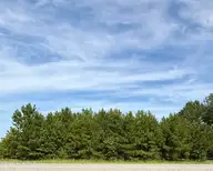 Lot 3 3 Us 17 N, Washington, NC 27889 — lot, Washington, NC, photo 1 of 4: Main