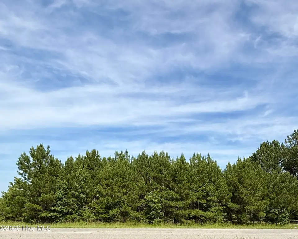 Lot 3 3 Us 17 N, Washington, NC 27889 — lot, Washington, NC, photo 1 of 4: Main