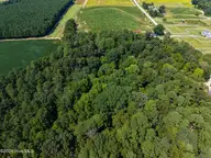 0 Stott Road, Bailey, NC 27807 — lot, Bailey, NC, photo 11 of 12: Stott pic4
