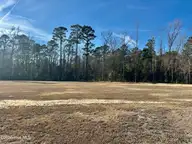 3678 New Britton Highway E, Whiteville, NC 28472 — lot, Whiteville, NC, photo 8 of 8: IMG_7371