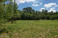 00 Old Chinquapin Road, Beulaville, NC 28518 — lot, Beulaville, NC, photo 22 of 41