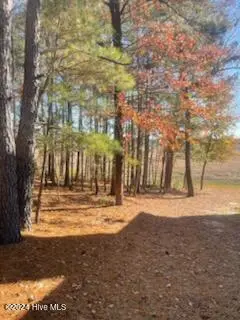 847 4565 Seagull Drive, Vass, NC 28394 — waterfront lot in Woodlake, Vass, NC, photo 1 of 7: 847 Seagull 2