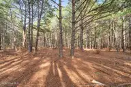 2655 Us 1 Highway, Vass, NC 28394 — 4-bedroom home, Vass, NC, photo 3 of 32: 2655 US 1 HWY - VASS, NC