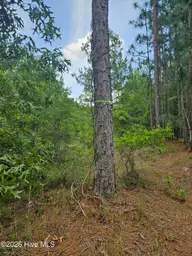 0 Phoenix Parkway, Navassa, NC 28451 — lot, Navassa, NC, photo 3 of 7