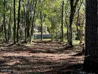 900 Crooked Creek Drive, New Bern, NC 28560 — lot in Fairfield Harbour, New Bern, NC, photo 15 of 15: IMG_0998