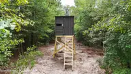 5 Bull Tail Road, Wallace, NC 28466 — lot, Wallace, NC, photo 13 of 21