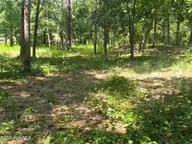 3183 Mullet Creek Place SE, Bolivia, NC 28422 — lot in River Run Plantation, Bolivia, NC, photo 5 of 8