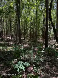 Lot 1 Dan Road, Robbins, NC 27325 — lot, Robbins, NC, photo 19 of 20: IMG_5022
