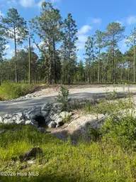 1170 Statesville Road, Boiling Spring Lakes, NC 28461 — lot, Boiling Spring Lakes, NC, photo 7 of 12