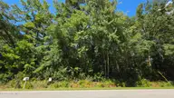 Near 74 Long Leaf Drive, Whiteville, NC 28472 — lot, Whiteville, NC, photo 4 of 4: Front
