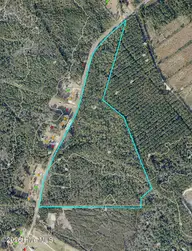 31ac Davis Road, Richlands, NC 28574 — lot, Richlands, NC, photo 7 of 9