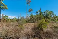 166 Fulcher Landing Drive, Stacy, NC 28581 — waterfront lot, Stacy, NC, photo 15 of 22: Waterfront vacant lot in Stacy