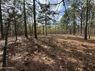 27 1209 Birkdale Way, Pinehurst, NC 28374 — lot in Forest Creek, Pinehurst, NC, photo 9 of 20: IMG_0965 Medium