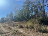 383 Ocean Highway E, Supply, NC 28462 — lot, Supply, NC, photo 3 of 6: IMG_3566