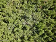 0 W Wards Bridge Road, Warsaw, NC 28398 — lot, Warsaw, NC, photo 24 of 31