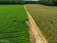 000 S Nc 581 Highway, Bailey, NC 27807 — waterfront lot in Old Fields, Bailey, NC, photo 9 of 53: DJI_0212_pro