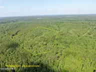 Tbd Oliver Carlton Road, Warsaw, NC 28398 — lot, Warsaw, NC, photo 1 of 15