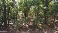 Lot 47 47 Ward Drive, Dudley, NC 28333 — lot in Rita Pines, Dudley, NC, photo 4 of 6: DJI_0695