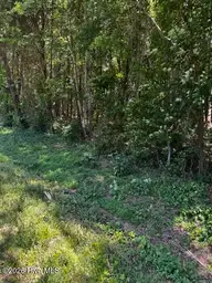Lot 1 Dan Road, Robbins, NC 27325 — lot, Robbins, NC, photo 5 of 20