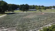 0 Ward Road, Whitakers, NC 27891 — lot, Whitakers, NC, photo 17 of 27: DJI_0513