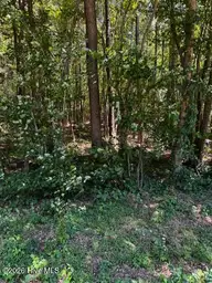 Lot 1 Dan Road, Robbins, NC 27325 — lot, Robbins, NC, photo 4 of 20: IMG_5019