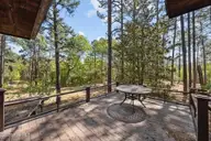 155 Harmony Lane, Southern Pines, NC 28387 — 4-bedroom home in McDeeds Creek, Southern Pines, NC, photo 6 of 66: 60-web-or-mls-IMG_8591