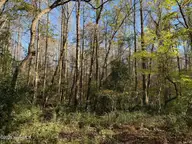 Lot 1 Alton Phillips Road, Kinston, NC 28504 — lot, Kinston, NC, photo 5 of 6: IMG_0811