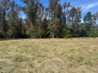 4275 Gum Branch Road, Jacksonville, NC 28540 — lot, Jacksonville, NC, photo 15 of 15: thumbnail_IMG_3533