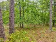 2302 304 Caracara Drive, New Bern, NC 28560 — lot in Fairfield Harbour, New Bern, NC, photo 5 of 6