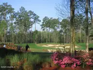 741 35 Highgate Place SW, Ocean Isle Beach, NC 28469 — lot in Ocean Ridge Plantation, Ocean Isle Beach, NC, photo 8 of 76: tigers-eye