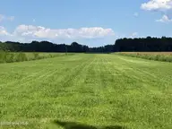 0 Bay City Road, Aurora, NC 27806 — lot, Aurora, NC, photo 12 of 17: IMG_1354