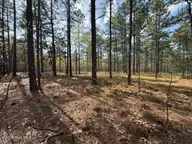 27 1209 Birkdale Way, Pinehurst, NC 28374 — lot in Forest Creek, Pinehurst, NC, photo 10 of 20: IMG_0969 Medium