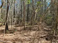 57 Eagle Nest Trail, Blounts Creek, NC 27814 — waterfront lot in Eagle Trace, Blounts Creek, NC, photo 12 of 18
