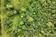 0 Nc 210 Hwy W, Hampstead, NC 28443 — lot, Hampstead, NC, photo 6 of 19