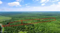 1 Lizzie Henry Road, Ivanhoe, NC 28447 — lot, Ivanhoe, NC, photo 10 of 15: lizziehenryrd_00009