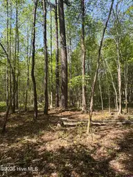 7818-1 McGregor Road, Nashville, NC 27856 — lot, Nashville, NC, photo 7 of 13: IMG_2428