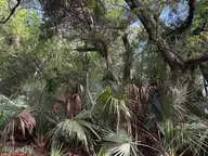 207 559 Muscadine Wynd, Bald Head Island, NC 28461 — lot in BHI (Bald Head Island), Bald Head Island, NC, photo 6 of 12: thumbnail_IMG_2043